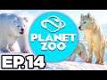 Planet Zoo: Arctic Pack Ep.14 - ❄️ 🐯 CUTE BABY SNOW LEOPARDS, ONE-WAY GLASS!! (Gameplay / Lets Play)