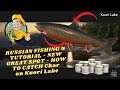 RUSSIAN FISHING 4 TUTORIAL - NEW GREAT SPOT - How to cathc CHAR on Kuori Lake