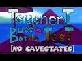SM64 TsucnenT Boss Battle Test [No Savestates]