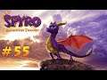 Super-Bonusrunde+Verpasste Videosequenzen 🐉 Spyro Reignited Trilogy #55 [Spyro Year of the Dragon]
