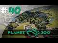 Visite des Nouvelles Zones - #40 Planet Zoo