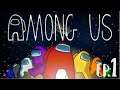 among us ep.1 playing with Randoms