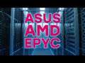 Серверная платформа Asus на базе AMD Epyc