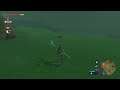 audap's The Legend of Zelda: Breath of the Wild Switch P23