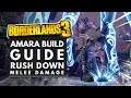 Borderlands 3 Best Builds | SHOCK MELEE Amara Build Guide