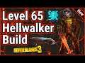 Doom Cast Amara Build | Save File | Level 65 | Mayhem 10 | Borderlands 3