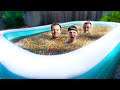 LAST TO LEAVE POOL OF 5 MILLION ORBEEZ!