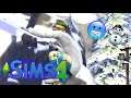 NORBERT WILL DEN GIPFEL #02 Sims Ab ins Schneeparadies