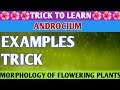 Trick to learn examples of monoadelphous,diadelphous, polyadelphous | androcium |examples trick|NEET
