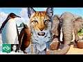 ▶ All 122 animals | Every Planet Zoo pack & all babies |