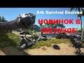 Приручаем Трицератопса - Выживание новичка в мезозое - Ark: Survival Evolved #2