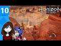 FlutterBug and Arrow - Horizon Zero Dawn - Full Stream (Part 10)
