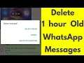 How to Delete Whatsapp Messages From Both Sides Delete For Everyone After Long Time