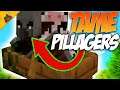 Minecraft How To TAME PILLAGERS Tutorial! | JAVA EDITION