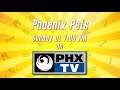 Phoenix Pets Promo | Pet Businesses