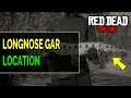 Red Dead Online Longnose Gar Location