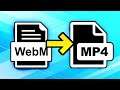 How To Convert WEBM To MP4 (Online & Free)
