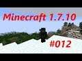 Let´s Play Minecraft 1.7.10 mit Mods #012 - Netherexpedition