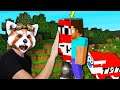 Minecraft, DAR TRANSFORM IN TNT TOT CE ATING