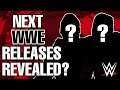 Next WWE Superstar Releases Leaked??? WWE News