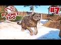 SNOW LEOPARDS! - Planet Zoo #7 w/ Vikkstar