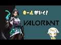 【VALORANT】ご飯までー キール視点