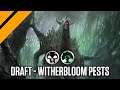 Witherbloom Pests w/ Daemogoth - Strixhaven Premier Draft | MTG Arena