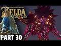 ALL DEVINE BEASTS FREED ! | The Legend of Zelda: Breath of the Wild PART 30 In HINDI