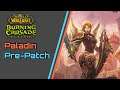 Blood Elf Paladin Leveling and Preparation World of Warcraft: Burning Crusade Classic Pre-Patch