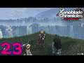 Bug Huting-Let's Play Xenoblade Chronicles Definitive Edition Part 23