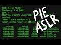 Cannot access memory at address // Debugging PIE Binaries affected by ASLR - bin 0x2E