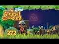Entspannung am Feuerwerk 🏝 Animal Crossing New Horizons Part 272