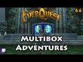 Everquest Live! - Multibox Adventures - 66 - Demi Plane of Life