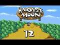 Let's Play - Harvest Moon #Part 12 - Unser bester Freund die Gießkanne