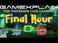 Pokémon Sword & Shield 24-Hour Livestream! The Final Hour!
