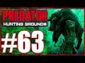 Tiny Tips About Pigs and Predators! - Predator Hunting Grounds
