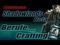 WoW Shadowlands Beta: BERUFE und Crafting Einblick & Analyse 📊 🛑Streamupload | WoW Gold Guide