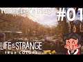A MOUNTAIN HAVEN | Life is Strange: True Colours [Ep. 01]