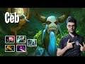 Ceb - Nature's Prophet | Dota 2 Pro Players Gameplay | Spotnet Dota 2