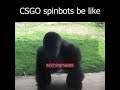 CSGO spinbots be like