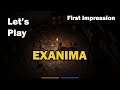 Let's Play: Exanima