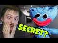 SECRET Huggy Wuggy?! | Poppy Playtime Hacking
