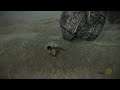 Shadow of the Colossus: Third Colossus Gaius Part 4