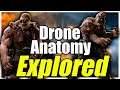 The Locust Drones Morphology and Lore Explored | Gears of War Explained