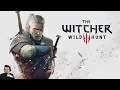 The Witcher 3 | Geralt vs Wild Hunt pt 23