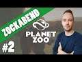 Zockabend | Let's Play Planet Zoo | #2 - Ein Bärengehege für unseren Park - bärenstark!