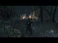 Bloodborne - Forbidden Woods Hunter Mobs Ambiance (talking, whispers, crackling fire, footsteps)