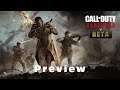 COD Vanguard (Beta) - Preview
