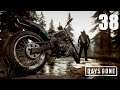 DAYS GONE Gameplay Walkthrough | PART 38 - IT'S BEEN CRAZY HERE | No Commentary