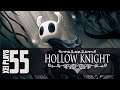 Let's Play Hollow Knight (Blind) EP55